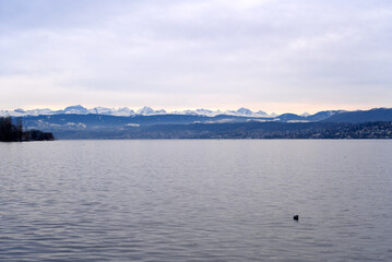 Beautiful scenic landscape with Lake Zurich in the foreground and Swiss Alps in the background on a cloudy winter afternoon. Photo taken February 3rd, 2022, Zurich, Switzerland.