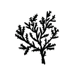 Vector simple illustration with Corals on white isolated background.Ocean,Summer underwater animal hand drawn in doodle style.Design for postcards,stickers,packages,social media,web,coloring.