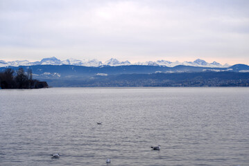 Beautiful scenic landscape with Lake Zurich in the foreground and Swiss Alps in the background on a cloudy winter afternoon. Photo taken February 3rd, 2022, Zurich, Switzerland.