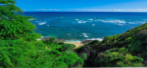 Ocean from junglee, Hawaii, Honolulu
