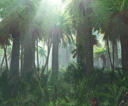 Jungle, beautiful rainforest in the fog, palm trees in the haze, jungle in the morning in the fog, 3D rendering