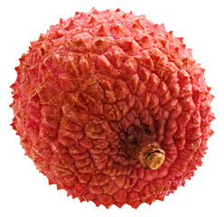 litchi isolated on white background. Clipping path
