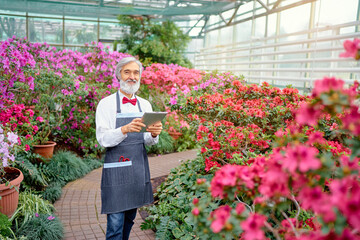 Hobby and Profession. Handsome gardener. Senior bearded man using tablet computer at greenhouse full of flowers.