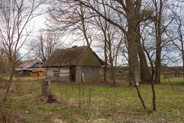 Abandoned old wooden house among the trees. Rural spring landscape.