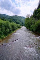 Obraz premium Summer landscape with river and green mountains.