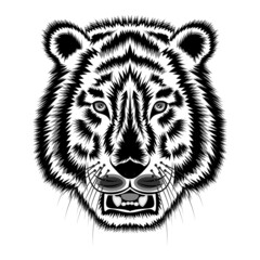 Tiger head sketch front view isolated white background