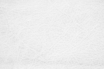 White genuine leather texture background. Empty luxury classic textures for decoration. 