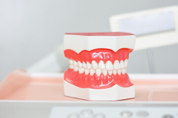 dental model in hospital dentistry