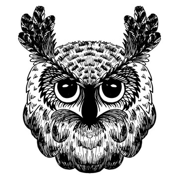 Owl is a stylized image