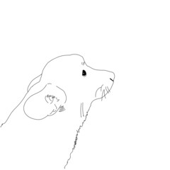 small dog illustration