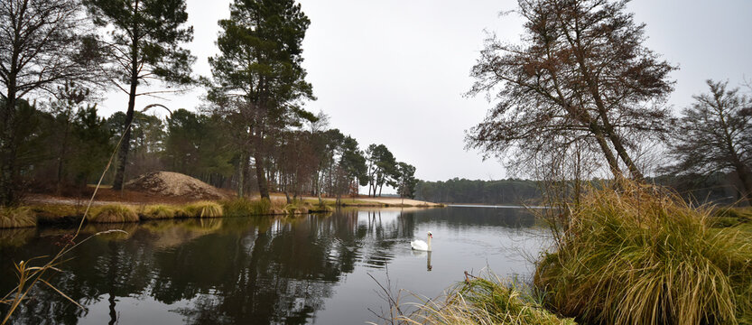Lac de Clarens (Aquitaine, Sud-Ouest France)