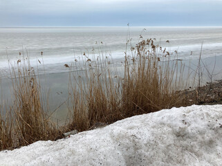 
frozen sea shore - 485084857