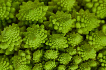 Romanesco also known as Roman cauliflower, Broccolo Romanesco, Romanesque cauliflower, species Brassica oleracea