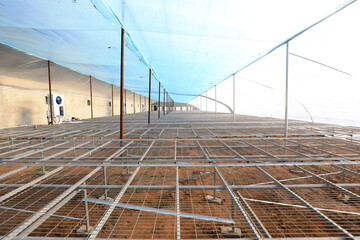 Phalaenopsis cultivation greenhouse under construction, North China