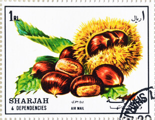 Cancelled postage stamp printed by Sharjah, that shows Chestnut, circa 1972.