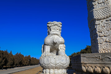 Fototapeta na wymiar Rock lions are carved in the eastern tombs of the Qing Dynasty, China
