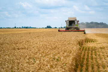 Fototapeta na wymiar Agriculture process in wheat field. Heavy technics. Rural landscape. Harvest time.