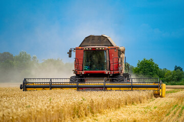 Obraz premium Special machine harvesting crop in fields, Agricultural technic in action. Ripe harvest concept. Crop panorama. Cereal or wheat gathering. Heavy machinery, blue sky above field