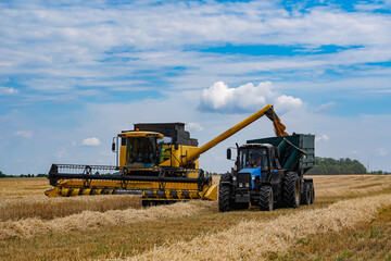 Process of gathering ripe crop from the fields. Special technic in field. Modern machinery in gold...