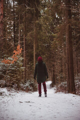 a person is walking through the winter forest