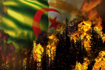 Forest fire natural disaster concept - burning fire in the trees on Algeria flag background - 3D illustration of nature