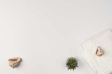 Obraz na płótnie Canvas Flat lay, clean fresh towel, houseplant and seashells on white background.