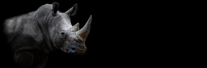 Foto op Plexiglas Rhino with a black background © AB Photography