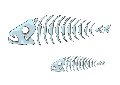 Fish skeleton. Sea life isolated on white background. Vector illustration