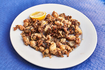  Plate of fried chopitos on paper surface