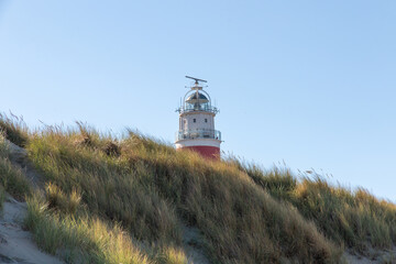 Fototapeta na wymiar The Texel lighthouse sticking out above the dunes in the Netherlands with a clear blue sky on a beautiful day