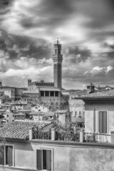 Obraz premium View over the picturesque city centre of Siena, Italy