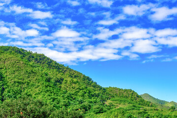 Obraz premium The Natural Beauty of Hanabanilla Lake or Dam, Villa Clara, Cuba