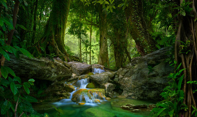 Asian deep jungle with waterfall