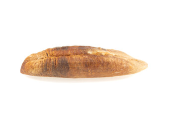 Date tree seed on a white background. Dates. Seed isolate