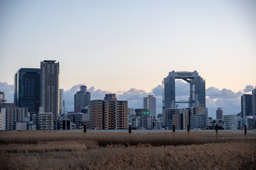 淀川河川敷