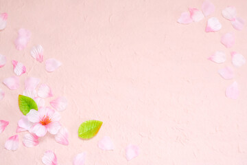 桜のフレーム　背景　バックグラウンド　春イメージ