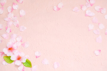 桜のフレーム　背景　バックグラウンド　春イメージ