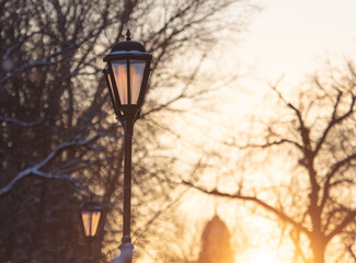 Lanterns in the park at sunset