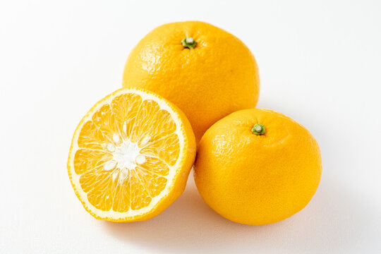 360_F_485111478_iA5Rd4NDHbkc3C