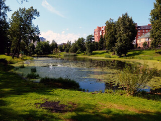 Obraz premium Beautiful overgrown pond in the city park in good weather