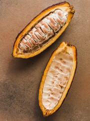 2 halves organic raw cocoa fruit for making chocolate
