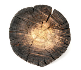 Aged cracked wooden tree section with rings and texture isolated on white. Circular background with an organic feel.