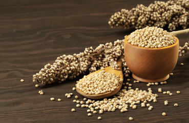 White sorghum seeds in a wooden bowl with a spoon on a wooden background.