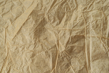 Brown wrinkled paper. Waste recycling concept. Abstract art background. Copy space.