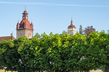 Fototapeta na wymiar Rathausturm hinter Bäumen, Luzern, Schweiz