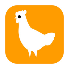 Cute and funny colorful farm rooster, chicken,cock, cockerel, cartoon vector illustration.