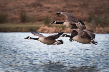 Off they go
