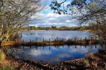A view over a calm lake on a sunny winterÕs afternoon in Surrey, UK.