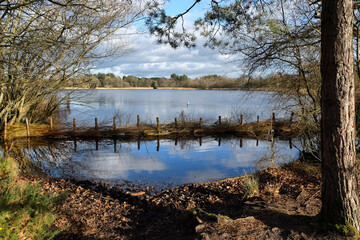 Obraz premium A view over a calm lake on a sunny winterÕs afternoon in Surrey, UK.