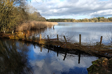 A view over a calm lake on a sunny winterÕs afternoon in Surrey, UK.